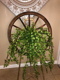 a green plant in a wheel on the floor next to a wall with an ornate design