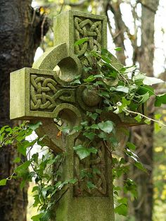 a stone cross with ivy growing on it