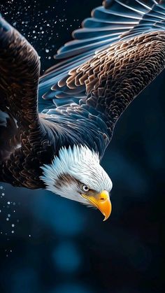 an eagle flying through the air with it's wings spread out and its eyes open