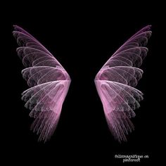 the wings of an angel on a black background are pink and white, with some lightening