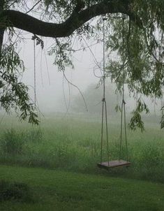 a swing hanging from a tree in the middle of a field