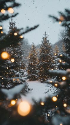 snow covered trees and lights in the distance with rain falling down on them as seen through a window