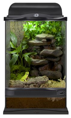 an aquarium with rocks and plants in the bottom right corner, water flowing from it