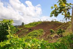 Organic farming Family Farm