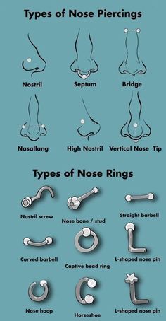 the different types of nose piercings are shown in this graphic diagram, which shows how they