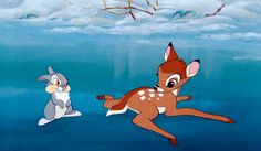 the fox and the hound are swimming in the water