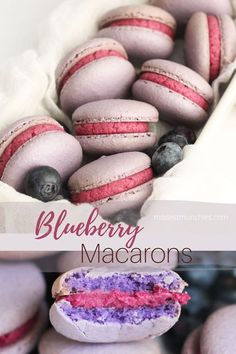 blueberry macarons with pink and purple frosting