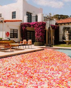 a pool covered in flowers next to a white building with pink and yellow flowers on it