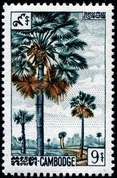 a stamp with palm trees on it and the words,'campodge 9 '