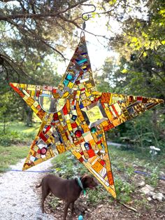 a dog standing next to a stained glass star ornament on a tree branch