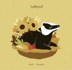 an illustration of a raccoon laying on the ground surrounded by sunflowers