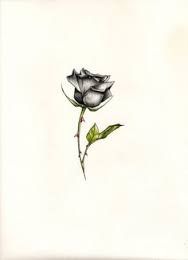 a drawing of a single black rose on a white background