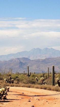 a dirt road surrounded by cactus and mountains