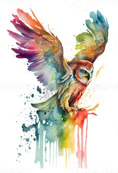 an owl with colorful paint splattered on it's body and wings, flying through