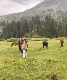 a man standing in a field with horses