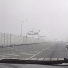 cars driving on a foggy road with traffic lights