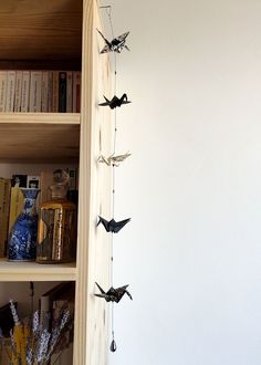 bats are hanging from the side of a book shelf