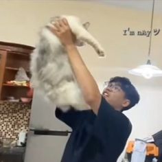 a man holding up a cat in the air