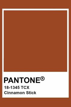 Brown Pantone, Classic Blue Pantone, Pantone 2020, Cinnamon Color, Color Analysis