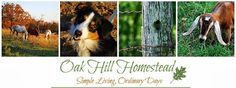 the oak hill homestead logo with pictures of horses, cows and dogs in it