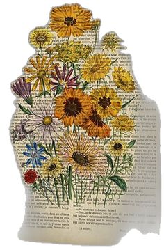 an old book page with flowers on it