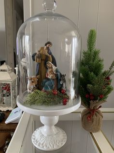 a nativity scene under a glass dome on a white pedestal with pine cones and red berries