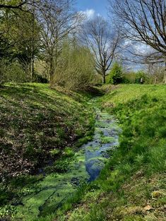 a small stream running through a lush green field