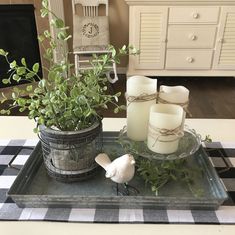 a tray with candles and some plants on it