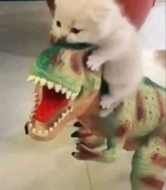 a cat riding on the back of a toy dinosaur