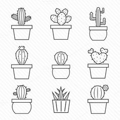 the different types of cactuses in pots are shown on this white background with black lines