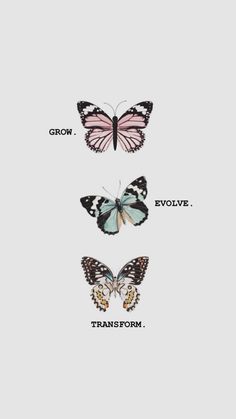 three butterflies with the words grow, evlive and transform