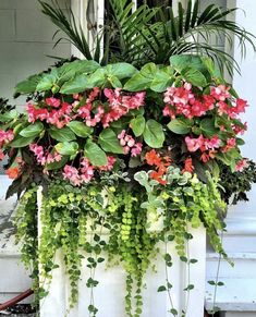 a planter filled with pink and red flowers next to a white door way entrance