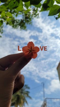 someone holding up a flower with the word love written on it in front of a blue sky