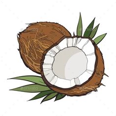 two coconuts with leaves on white background - free image 349353, graphic art