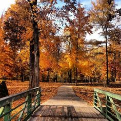 a wooden bridge in the middle of a park with lots of trees and leaves all around