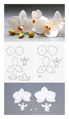 paper flowers are cut out to look like they have been made from the same material