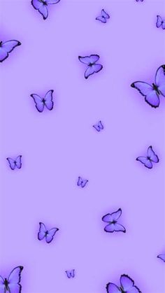 many purple butterflies flying in the air