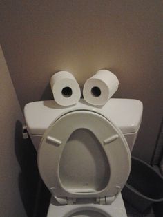 a toilet with two rolls of toilet paper on it's back and one roll in the middle