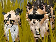 two cats are standing in tall grass with their faces painted to look like they're wearing blindfolds