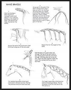 the instructions for how to draw a horse's head and neck, with text below