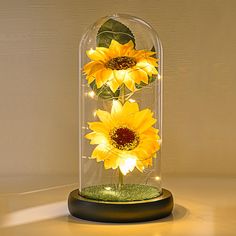 three yellow sunflowers in a glass dome with lights on the bottom and inside