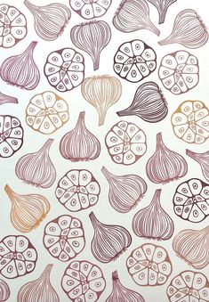 an illustration of onions and garlic on a white paper with brown ink, drawn by hand