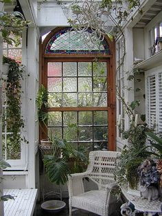 a room filled with lots of plants next to a window