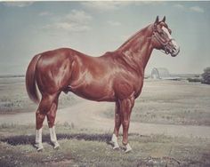 a large brown horse standing on top of a grass covered field next to a dirt road