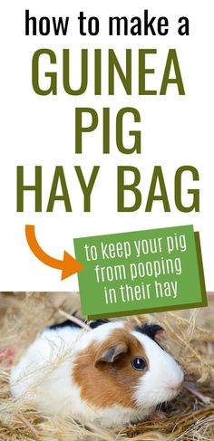 a guinea pig laying in hay with the words how to make a guinea pig hay bag