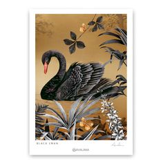 a black swan surrounded by tropical plants and flowers