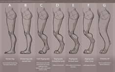 how to draw legs and feet with different angles for each leg, from the top view