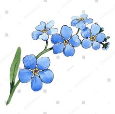 blue flowers with green stems on a white background, watercolor drawing or ink painting