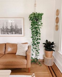 a living room with a couch, chair and potted plant on the wall in front of it