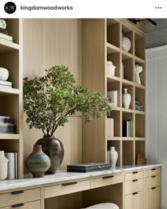 a vase with a tree in it sitting on top of a table next to a book shelf